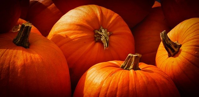 <strong>The pumpkin diet</strong> – is it effective?
